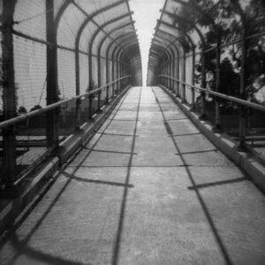 In N Out #4 FencedIN