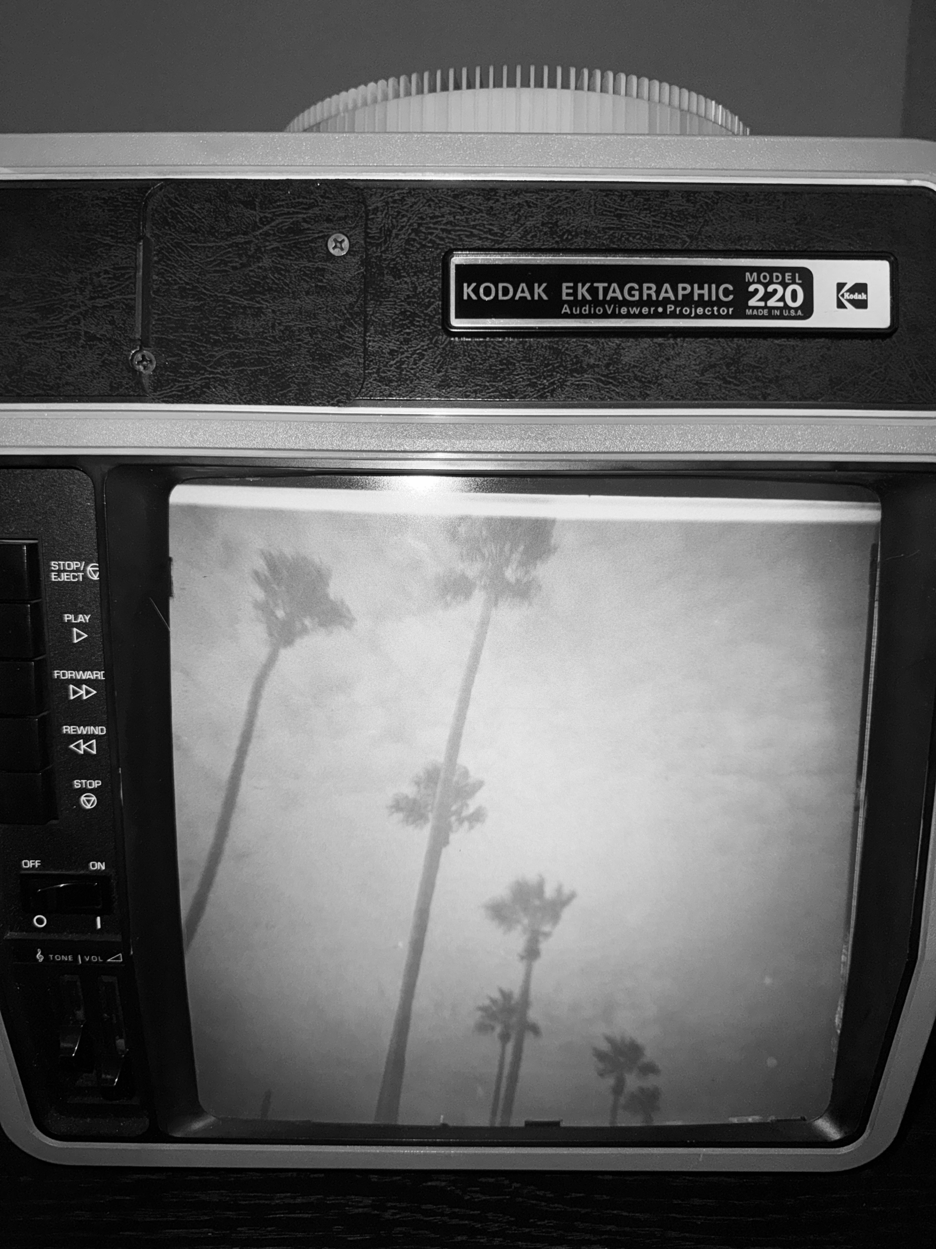 In N Out #2 Palm Trees - Image 2